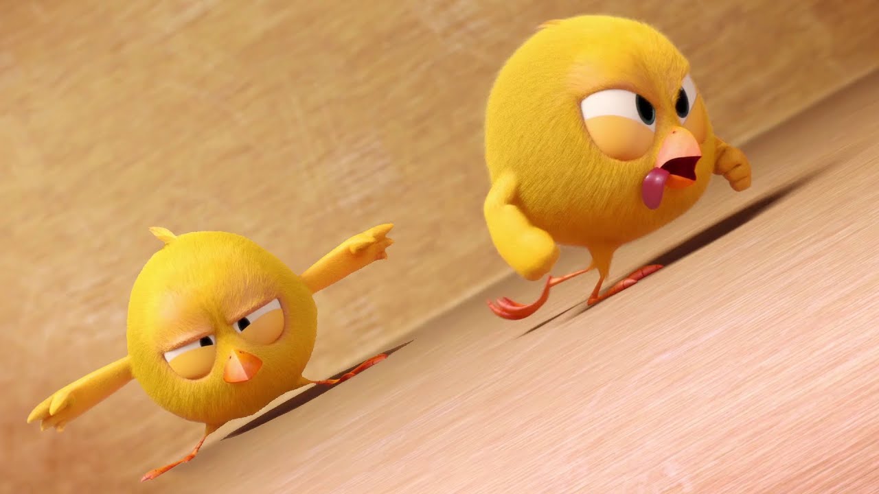 ¡Chicky pierde equilibrio! | ¿Dónde está Chicky? | Dibujos Animados en Español