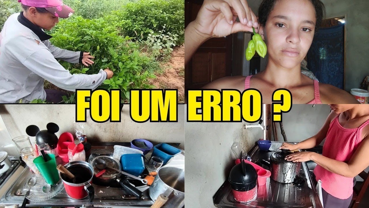 Vale a pena morar na ro&ccedil;a? Minha vida na realidade