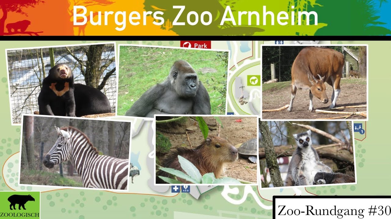 Burgers Zoo Arnheim 2023 | Zoo-Rundgang #30