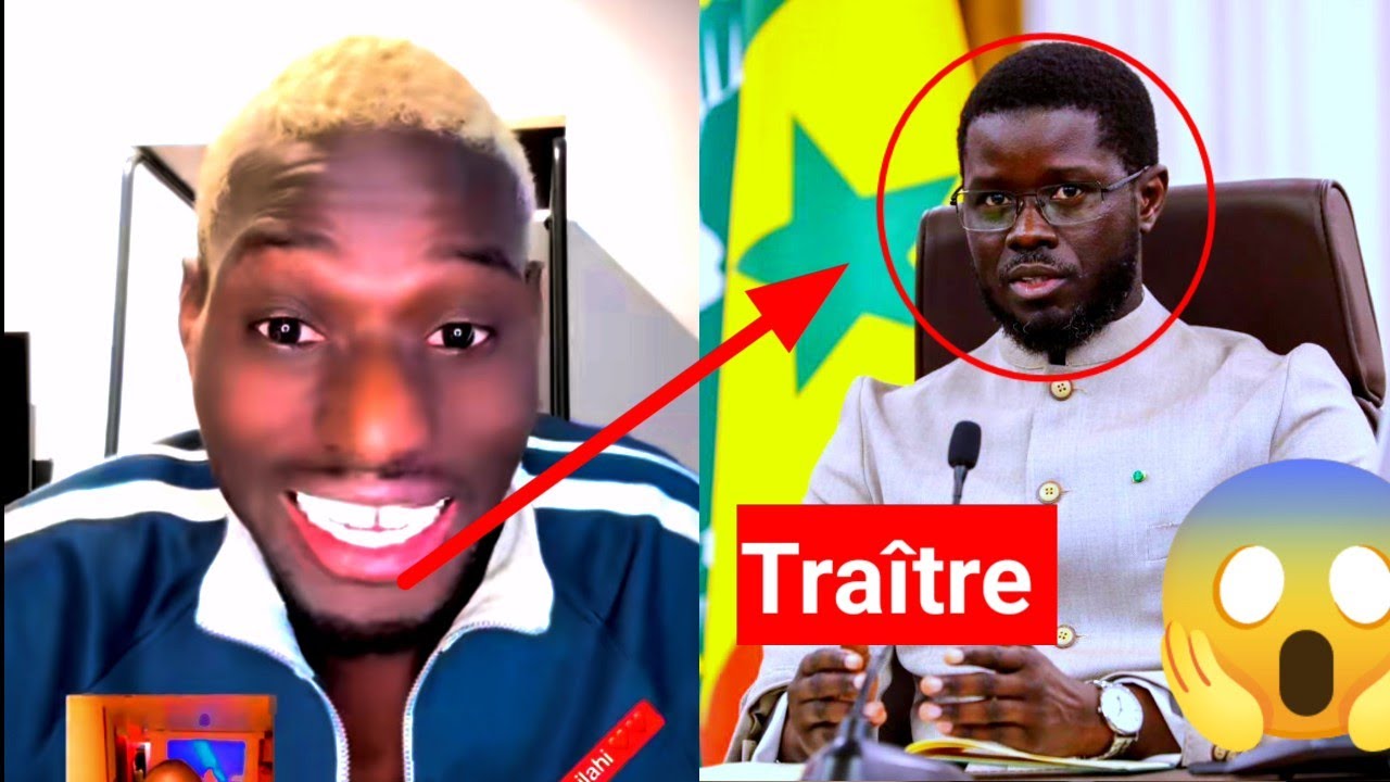 ADAMO : Coalition Diomaye Président Bi Ay Sathi Niosi Nékk Ousmane Sonko Mo Leen Geun Ndakh Bodoul ?