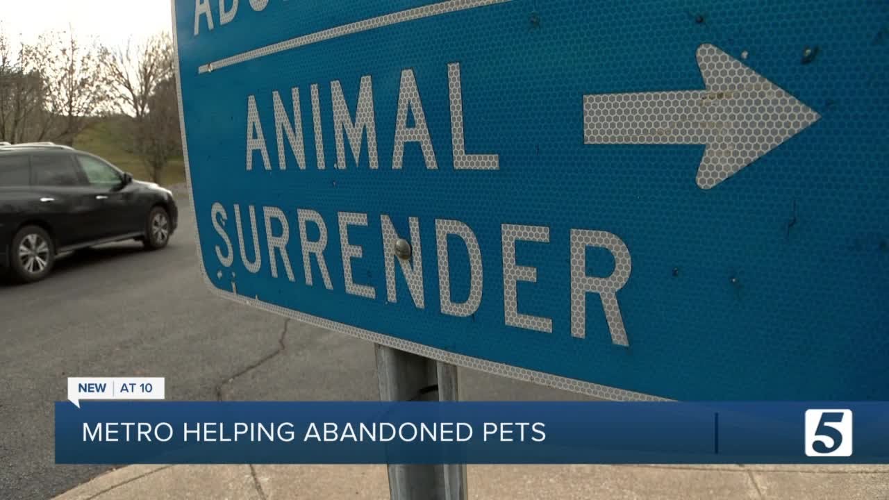 Metro Animal Care and Control helps abandoned pets