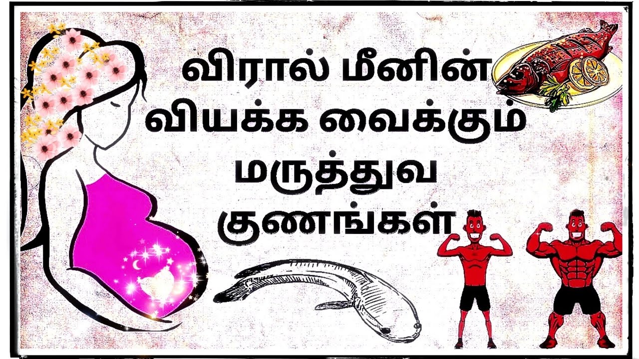 விரால் மீன் சாப்பிடுவதால் ஏற்படும் நன்மைகள்| Health benifits of murrel fish|Fish protein content