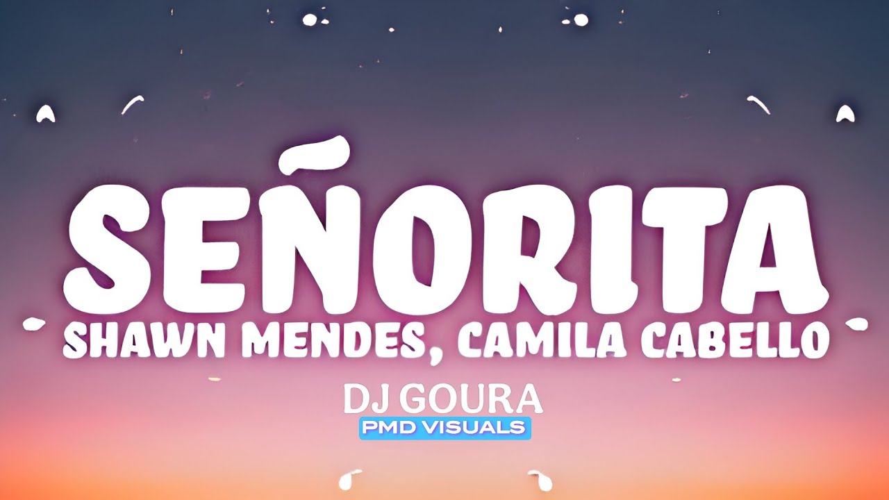 SENORITA REMIX BY DJ GOURA | PMD VISUALS | 