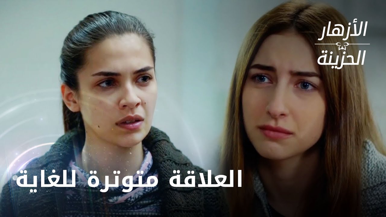 العلاقة متوترة للغاية بين أيلول وجمري - الحلقة 231 - الأزهار الحزينة