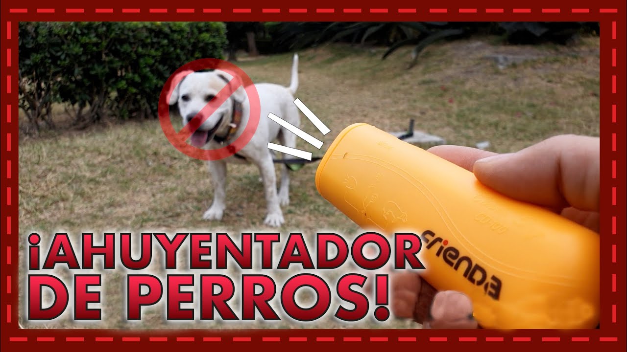 🔊🐶 ¿Funciona el ahuyentador ultrasónico para perros? Prueba real