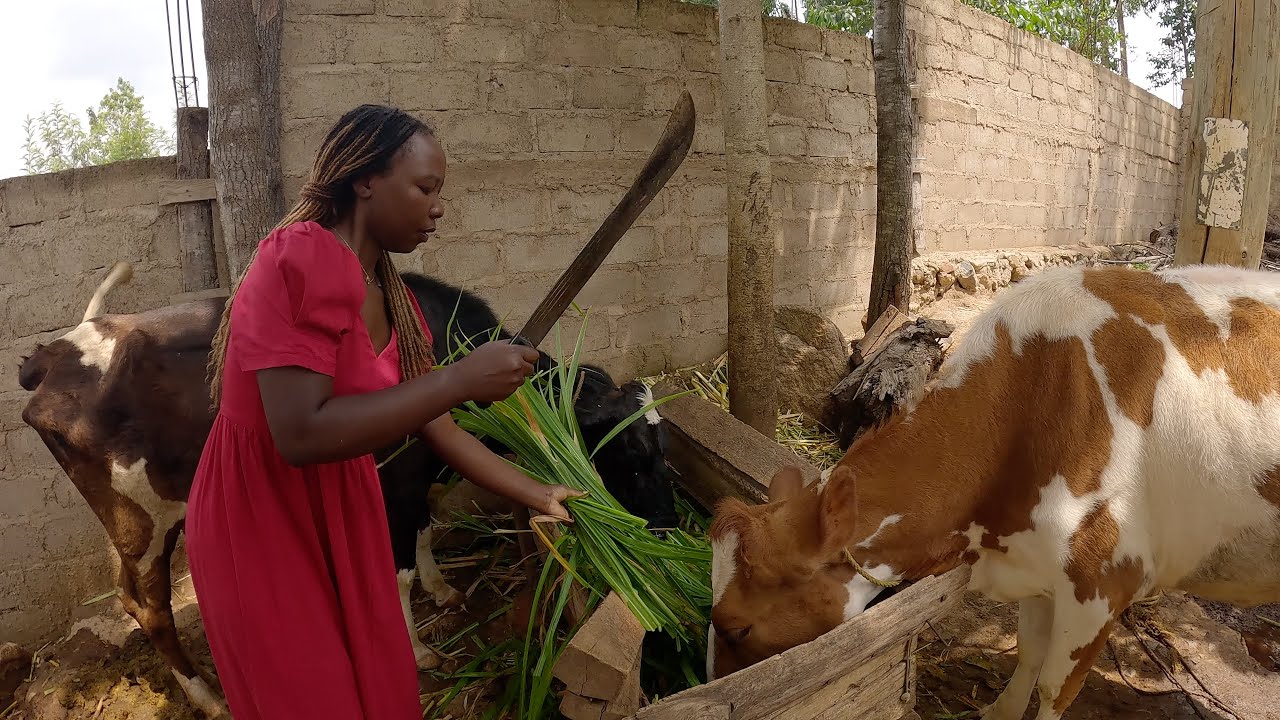 Slow Living In Kenyan ( African ) Countryside !! A Day In My Life