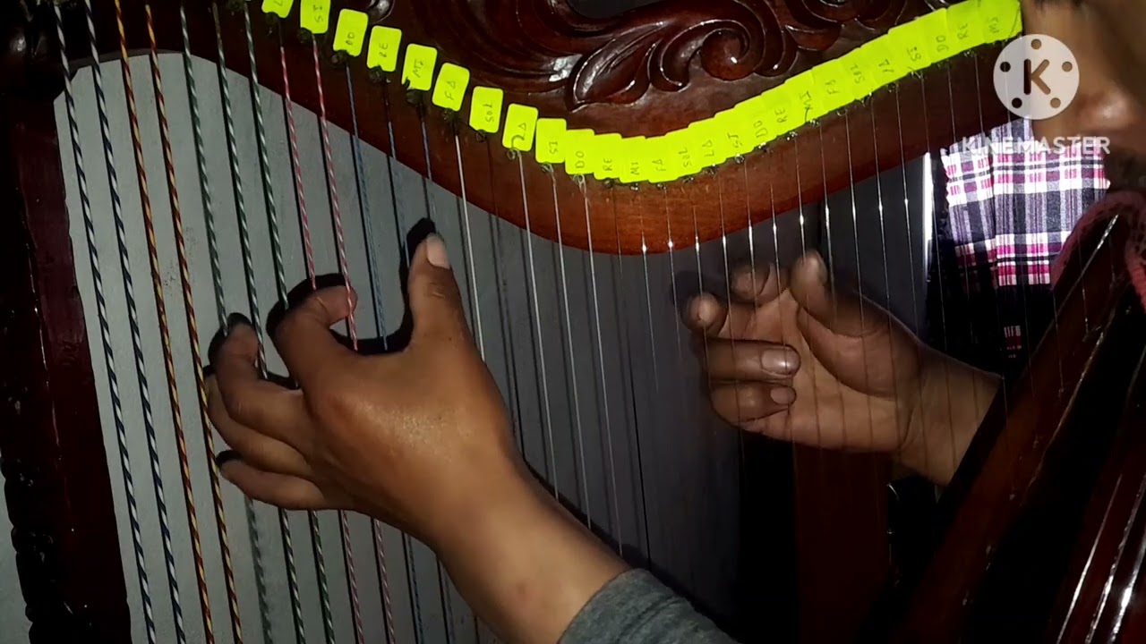 clases de arpa florcita del cusco avioncha