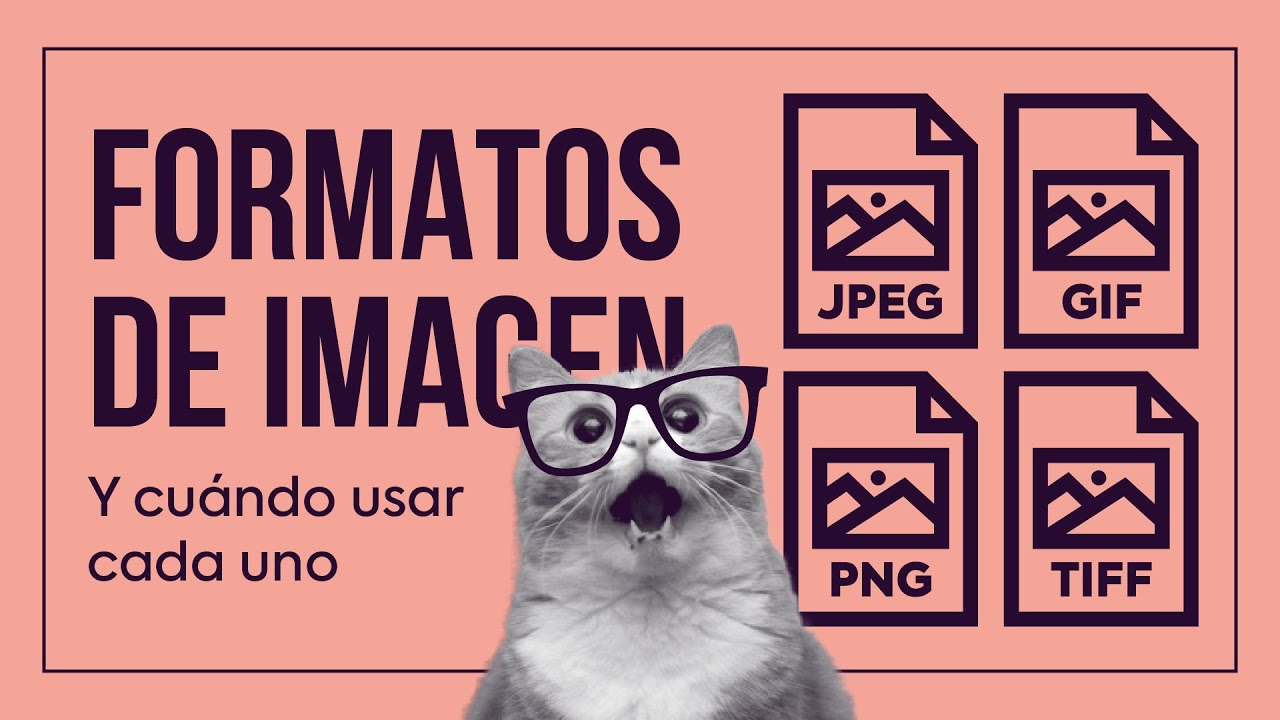 🖼️ FORMATOS de imagen para MAPAS DE BITS: JPG, GIF, PNG y TIFF