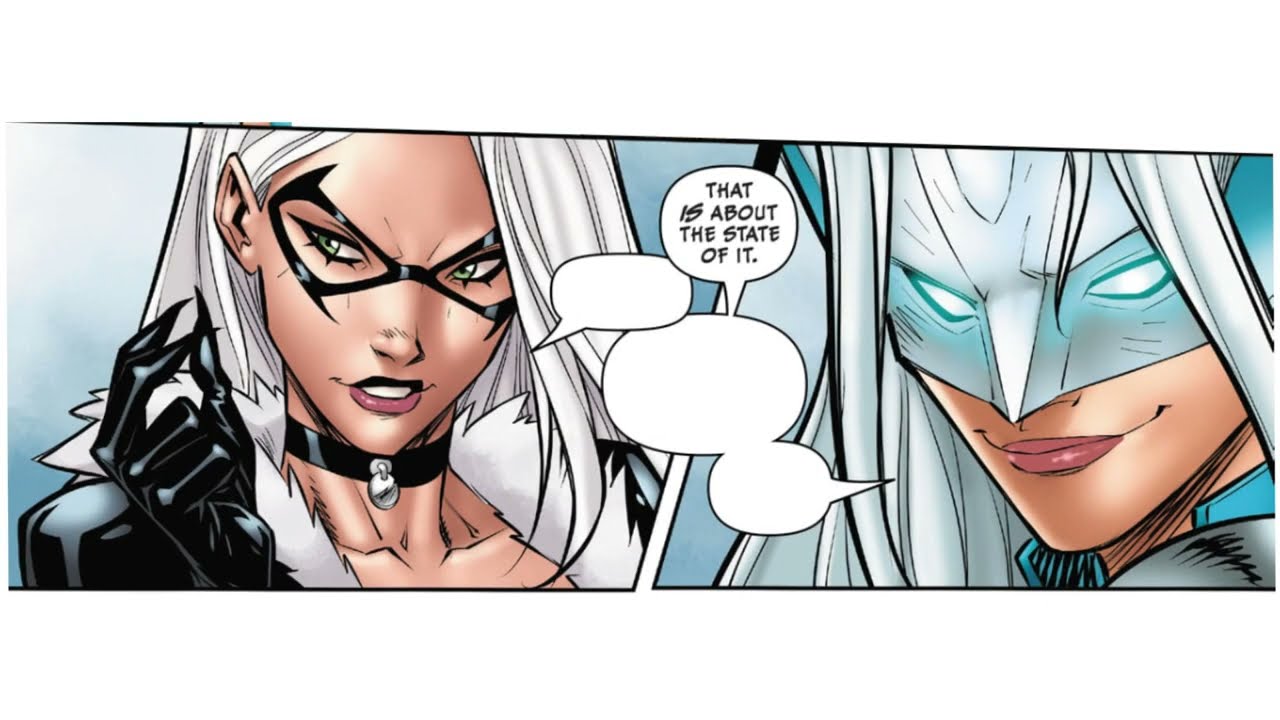 Black Cat Is White Fox's Accomplice