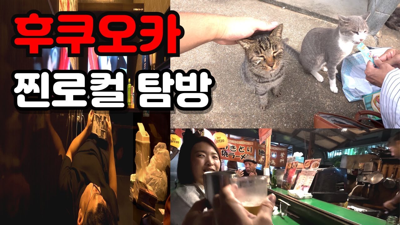 후쿠오카에 이런 곳이 있다고? (후쿠오카현 찐로컬 여행)