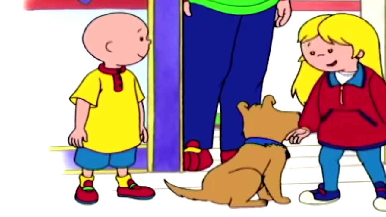 Caillou és az Új Barátok | Caillou Magyarul - WildBrain