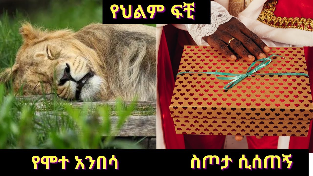 የሞተ አንበሳ / ስጦታ ሲሰጠኝ  Part Three