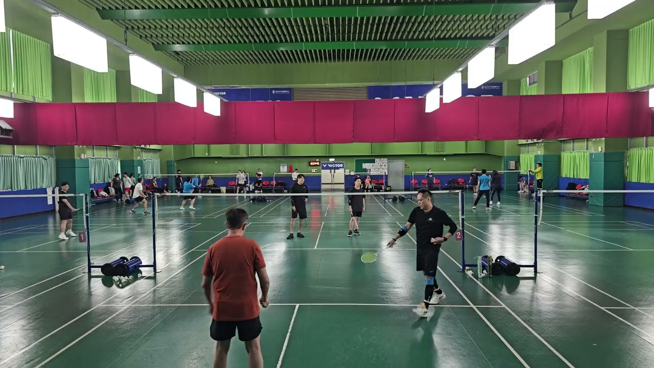 週美內湖羽球2026/2/8