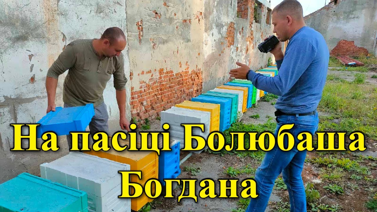 На пасіці Болюбаша Богдана. Львівщина/#ПОДОРОЖПАСІКАМИУКРАЇНИ