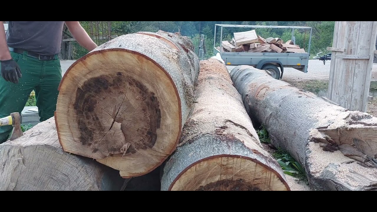 Husqvarna 395xp  big chainsaw!!!