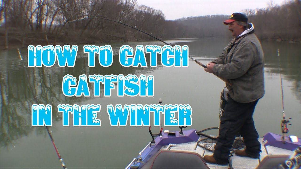 How to locate and catch wintertime catfish: *tips and techniques*