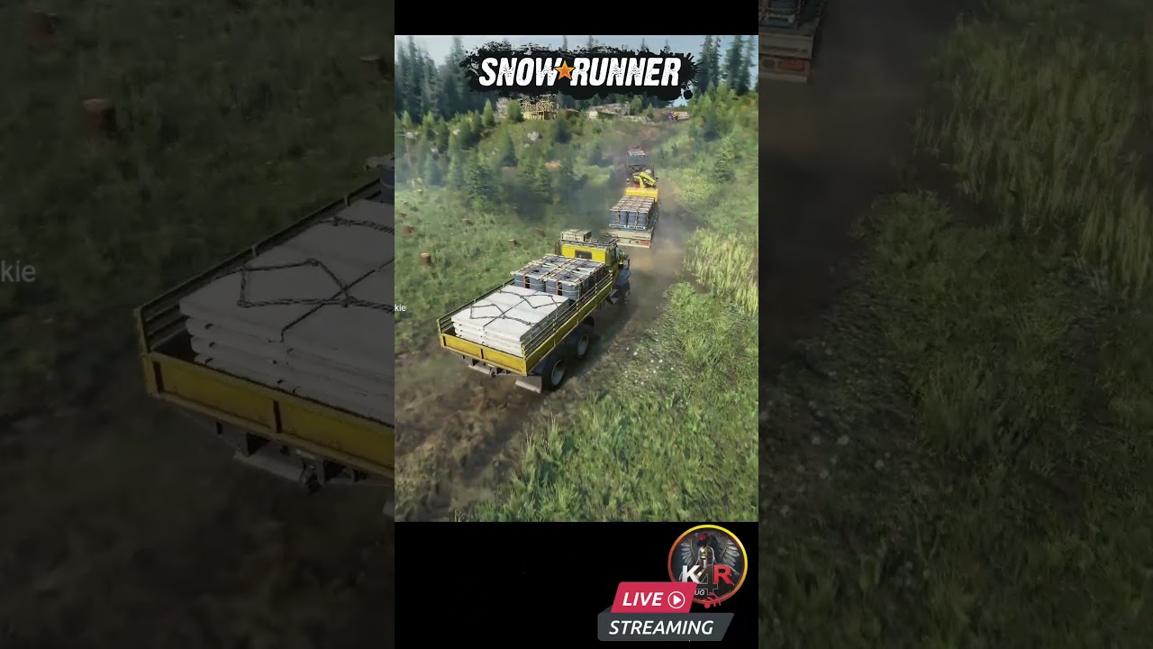 Plad440 Wisconsin - SnowRunner coop  #gaming  #roadcraft #snowrunner