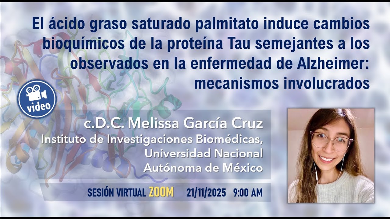 El ácido graso saturado palmitato induce cambios bioquímicos de la proteína Tau