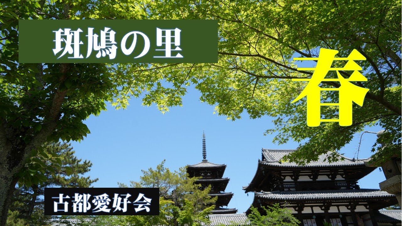 【斑鳩の里　春】2025　斑鳩三塔　法隆寺／法起寺／法輪寺