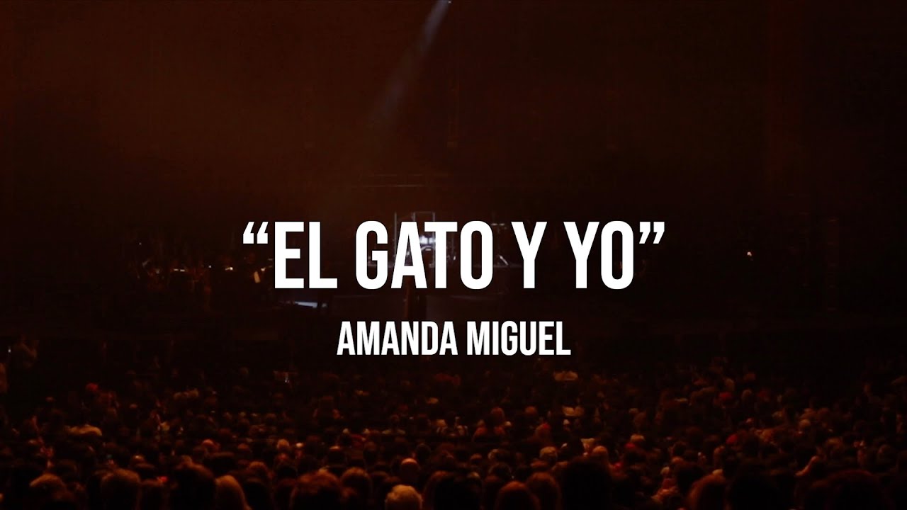 Amanda Miguel - El Gato Y Yo (En Vivo Desde El Auditorio Nacional)