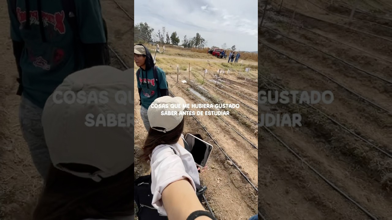 Cosas que me hubiera gustado saber antes de estudiar agronom&iacute;a 👩🏻&zwj;🌾 #agronomia #agro #agricultura