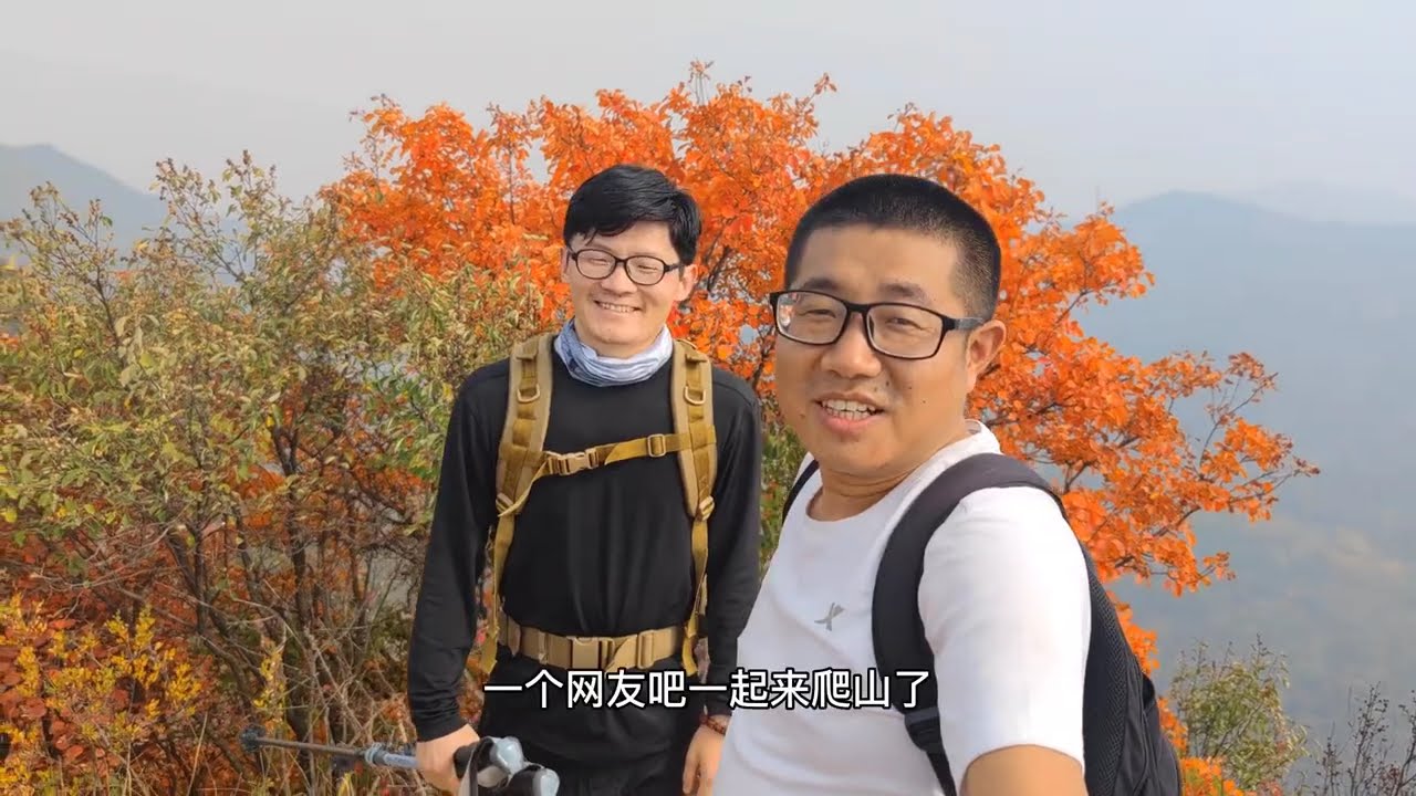山顶看风景山下看落叶，秦岭终南山的秋季美不胜收，穿梭在美景中#落叶知秋 #秋天 #红叶🍁 #大自然 #大山深处自然美 #一叶知秋