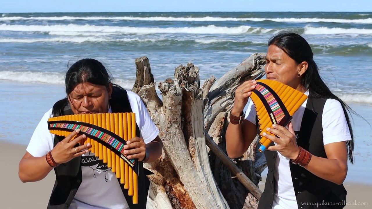 #wilmixprod#fanmikaptrip TITANIC my Heart Will Go on Heart Touching panflute cove