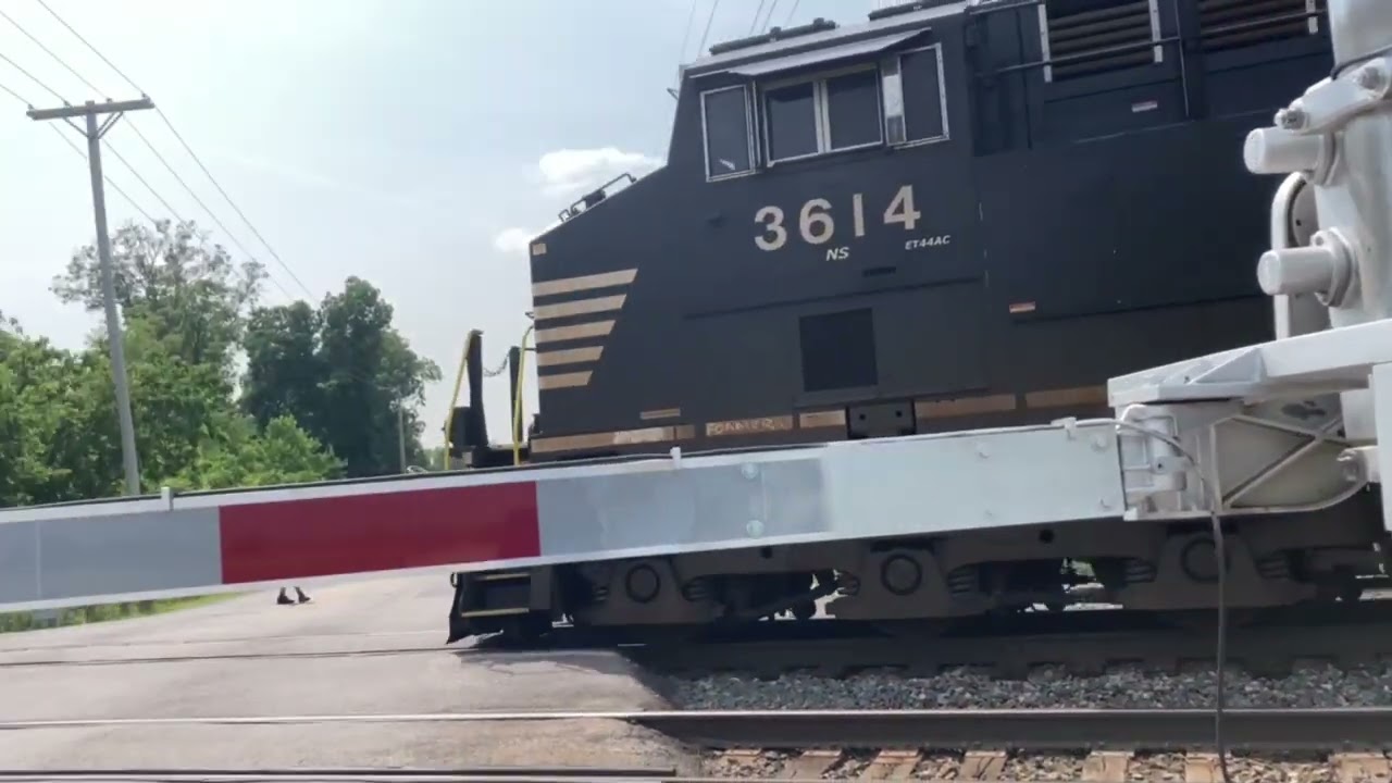 Tains of Bellevue yard