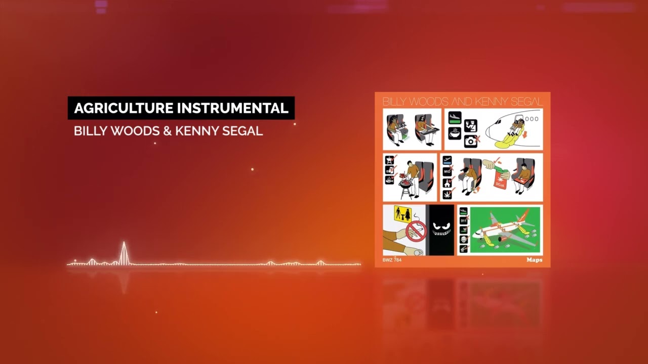 Billy Woods & Kenny Segal - Agriculture Instrumental
