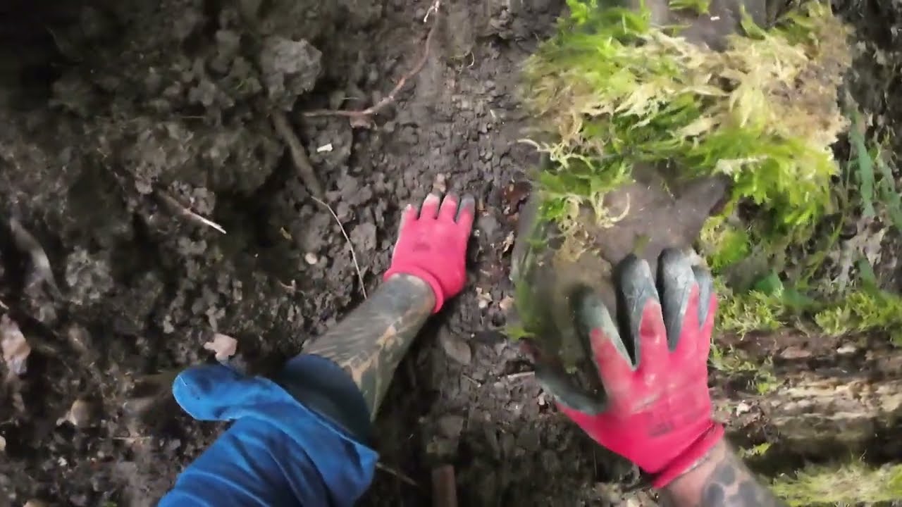 Ormanda Bulunan Gizemli Hazineler Şok Etti!