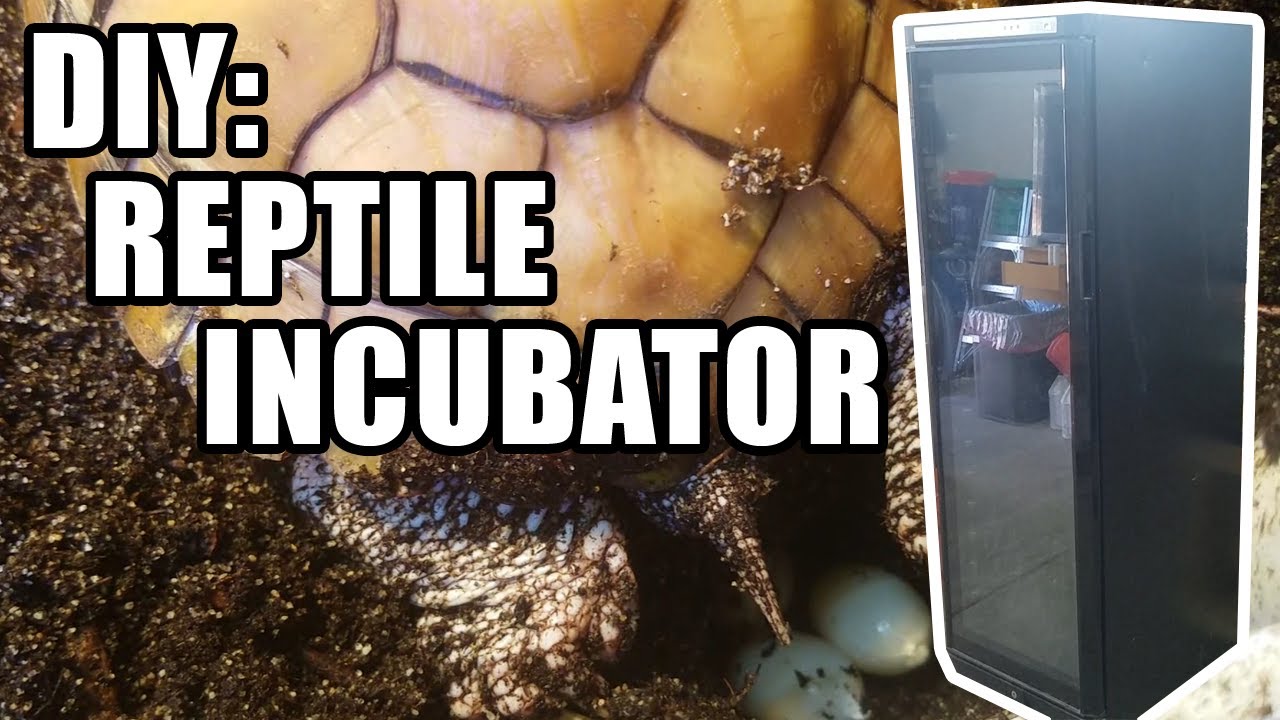 [240] How To: Build A DIY Reptile Egg Incubator From A Refrigerator