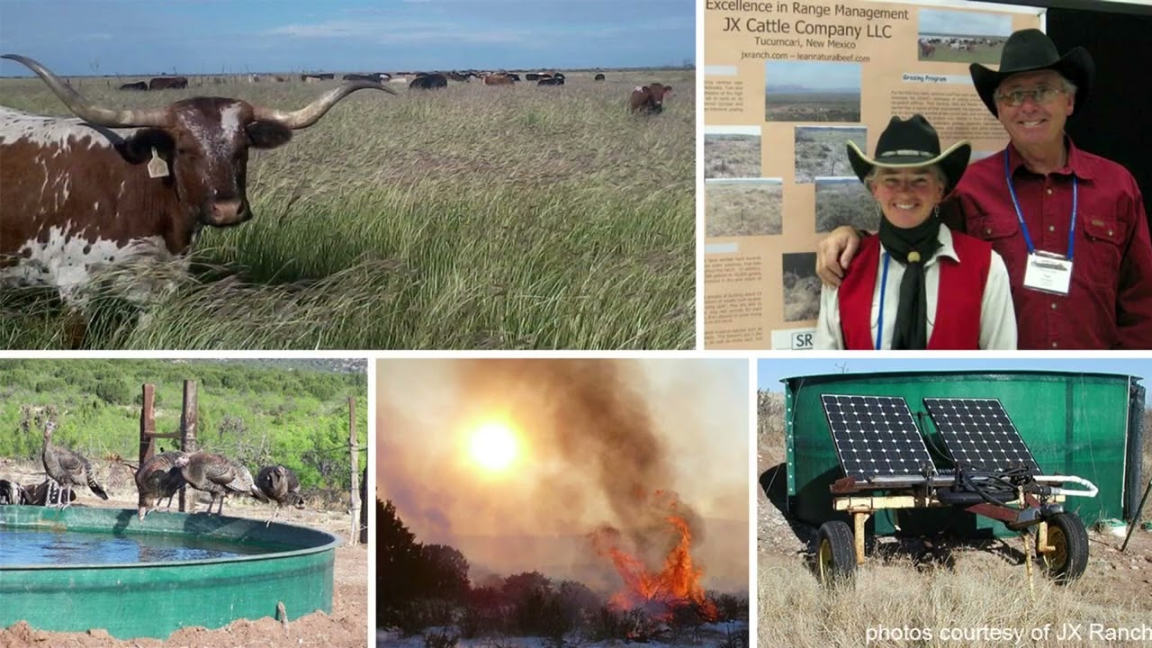 Breakthrough Ranching - How one New Mexican Ranch Thrives in a Drought Climate