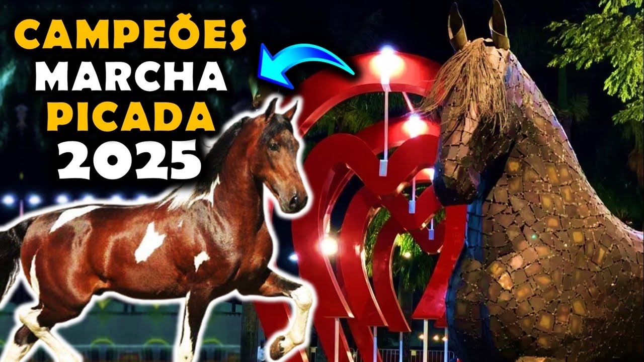 Os MELHORES Cavalos MANGALARGA MARCHADOR de 2025!  CAMPEÕES de MARCHA PICADA 2025 🐴🥇