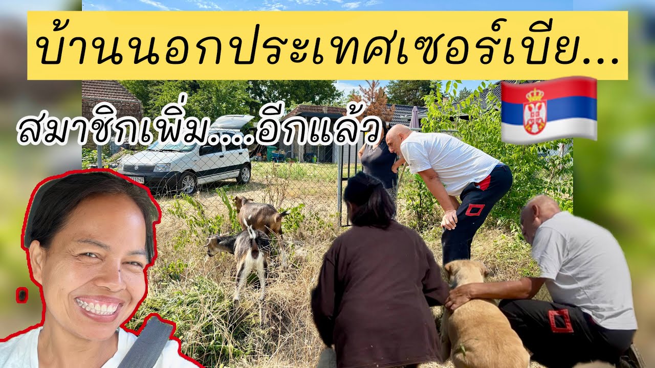 EP.752| ชีวิตมันเงียบสงบเกินไป มีสมาชิกมาเพิ่ม 2 ชีวิต | มาดามเมียฝรั่งบ้านนอก
