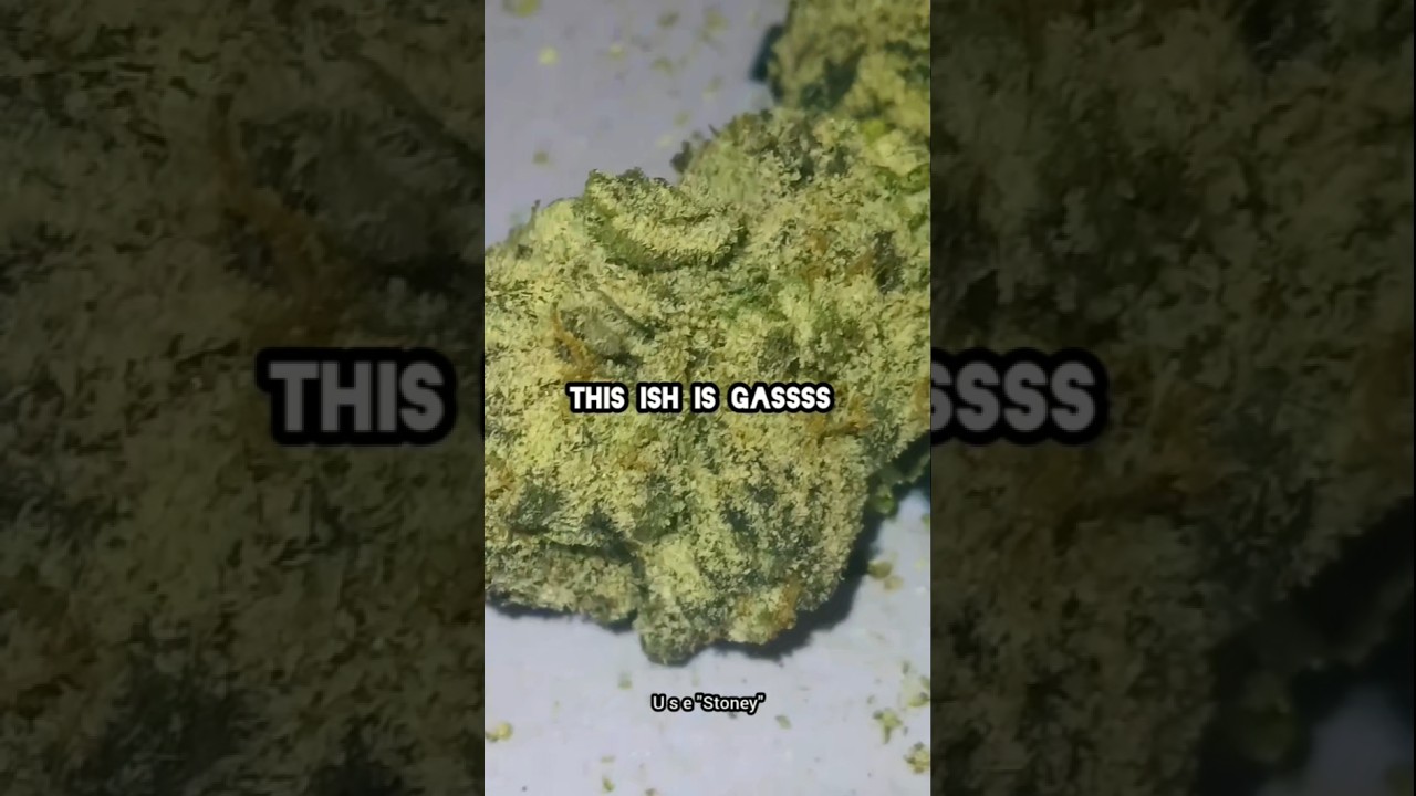 TWISTED MINT Thca Flower from REVELRY HEMP #revelryhemp #gas #wow #fire #trending #new #viral