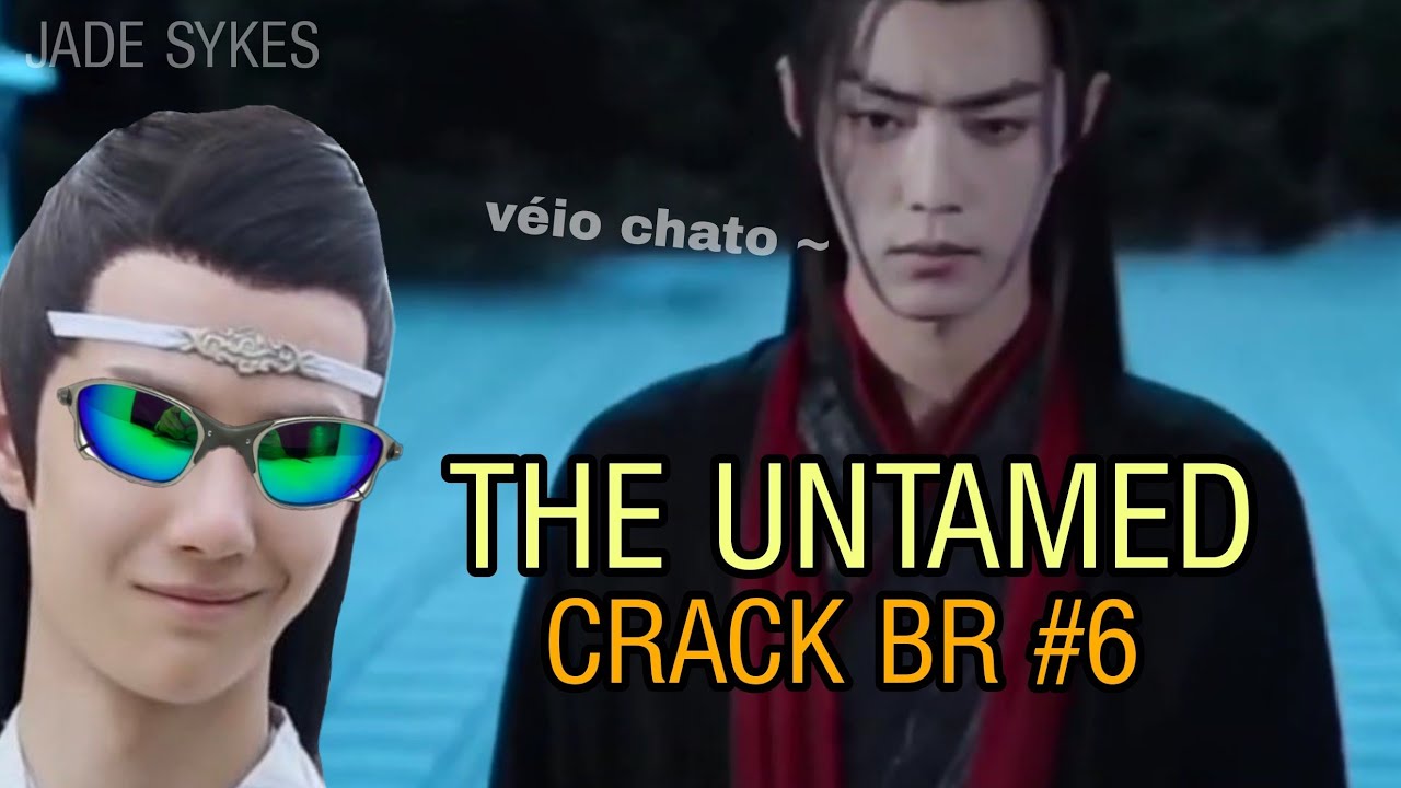 THE UNTAMED | MDZS CRACK BR #6