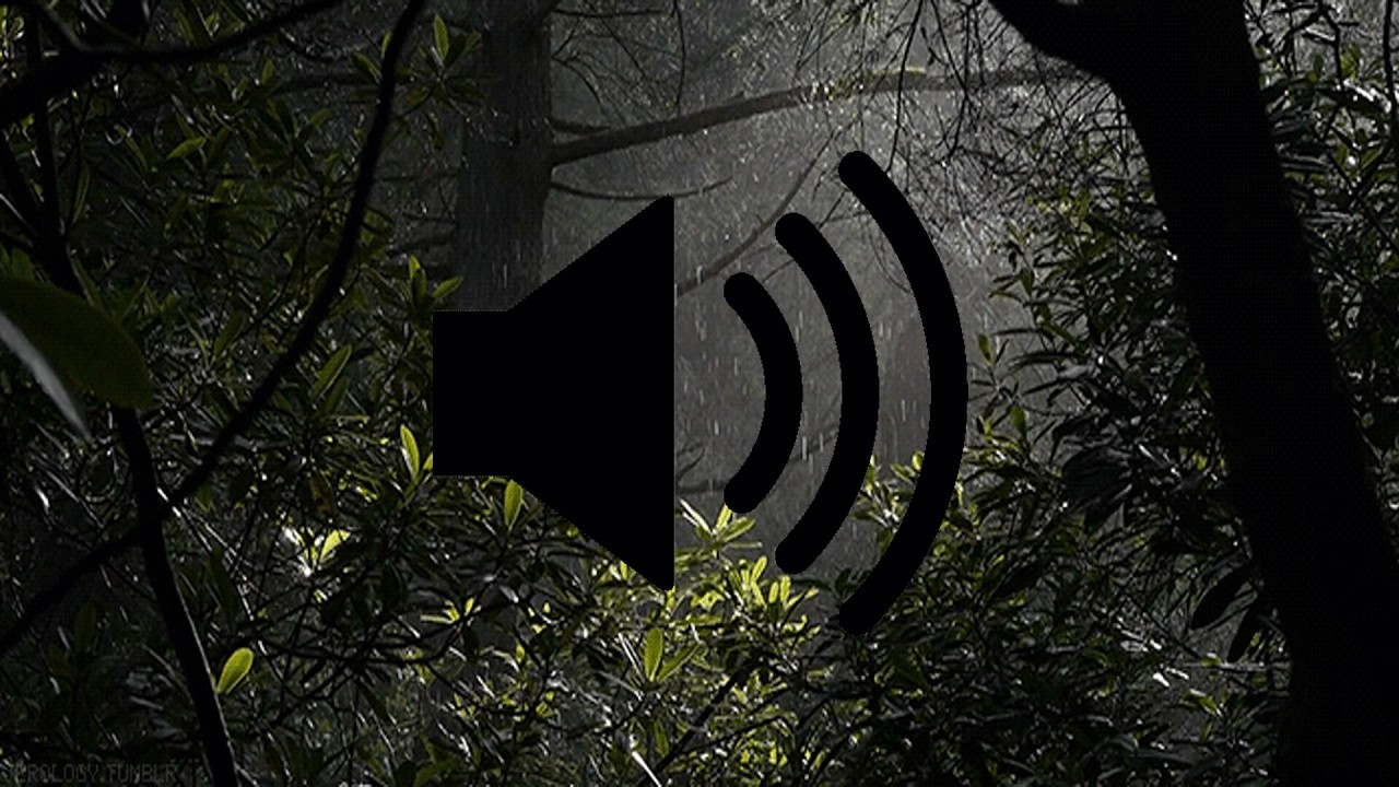 Raining Through The Woods with Gentle Light Shine ~10 Hour Loop With  Sound~