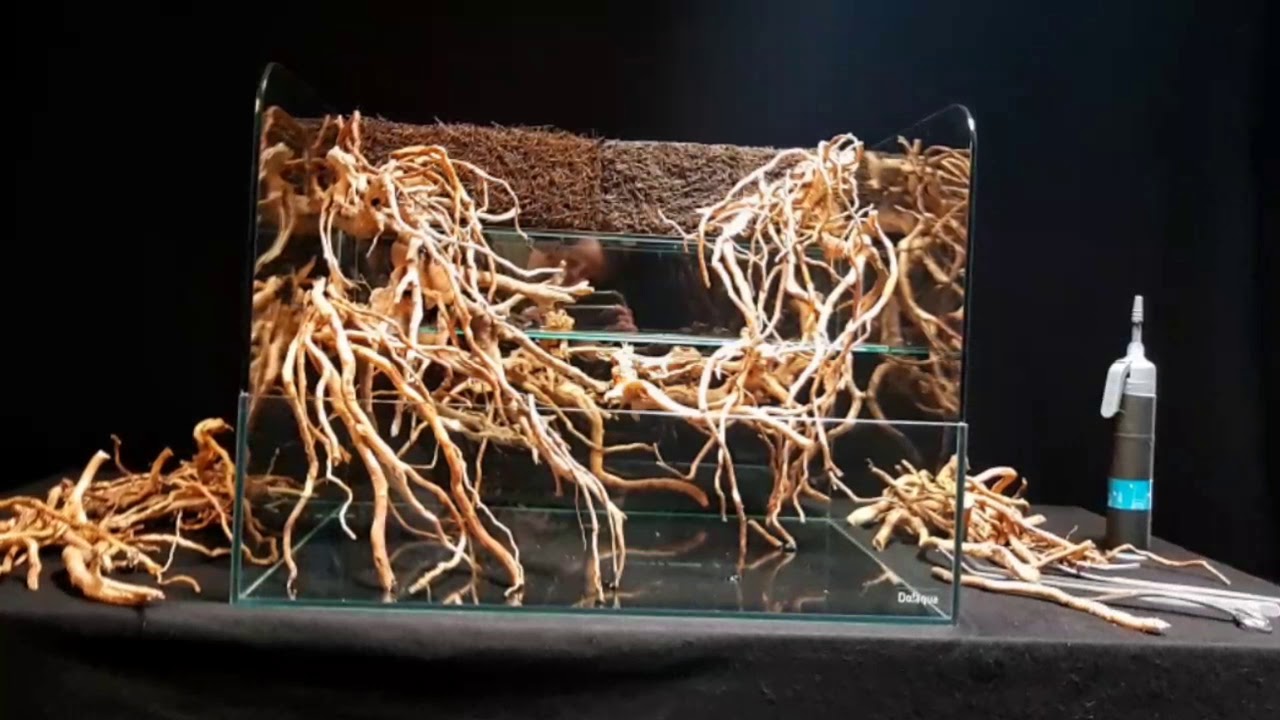 Paludarium/WabiKusa/Kokedama compilation 2017