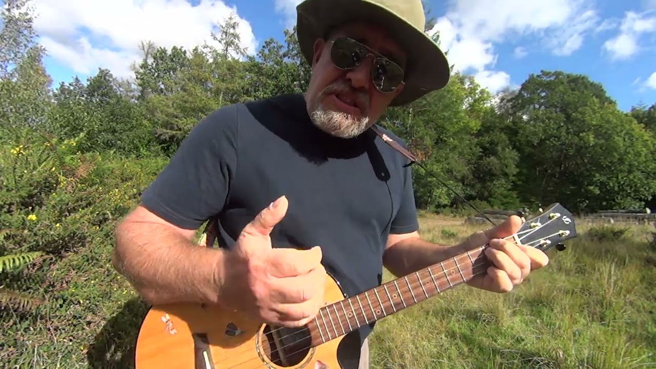 THE POOR by Jesse Welles ( different strum ).Baritone Ukulele Cover  ,chords below ⬇️