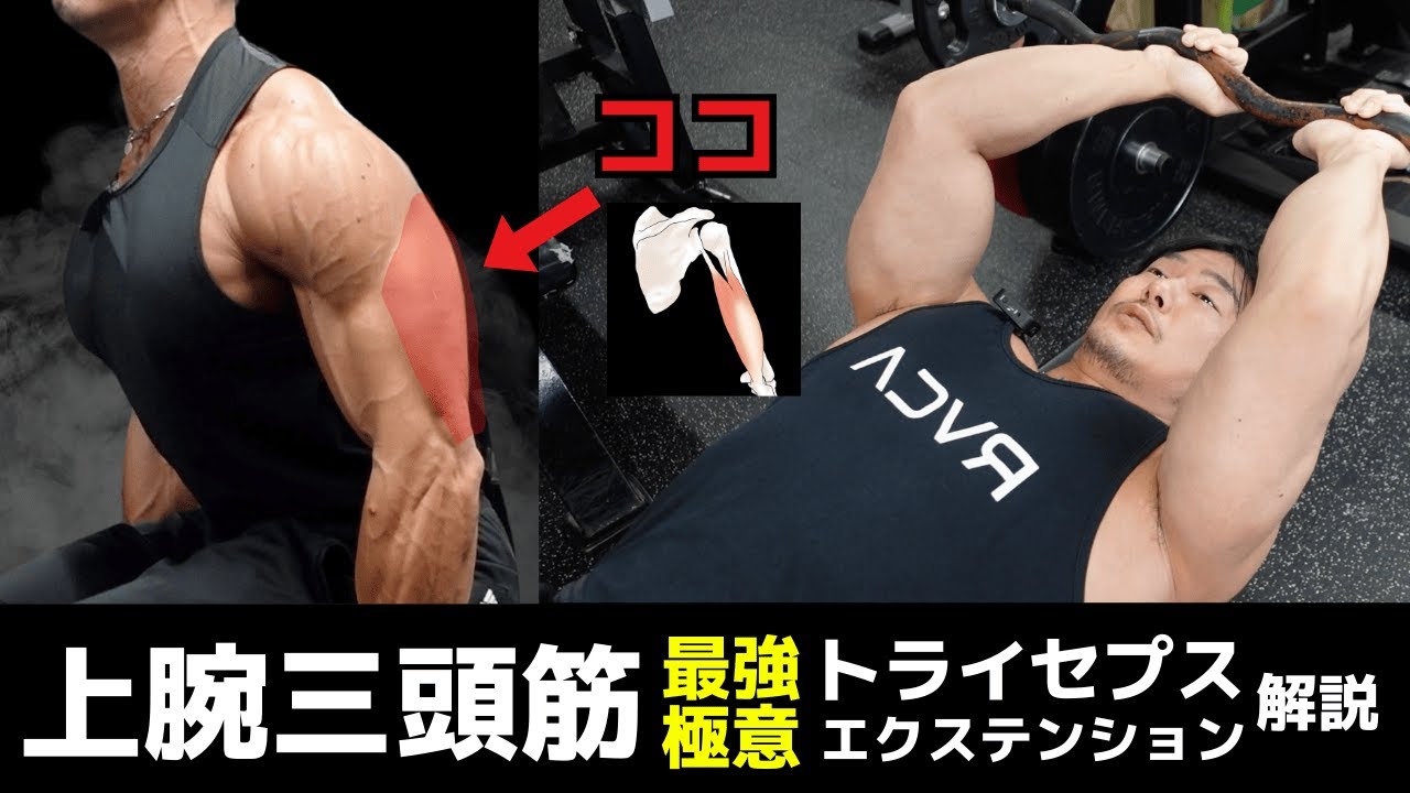 剛腕を作る最重要種目！？手のひらの○○にバーを収めよ！極意解説トライセプスエクステンション