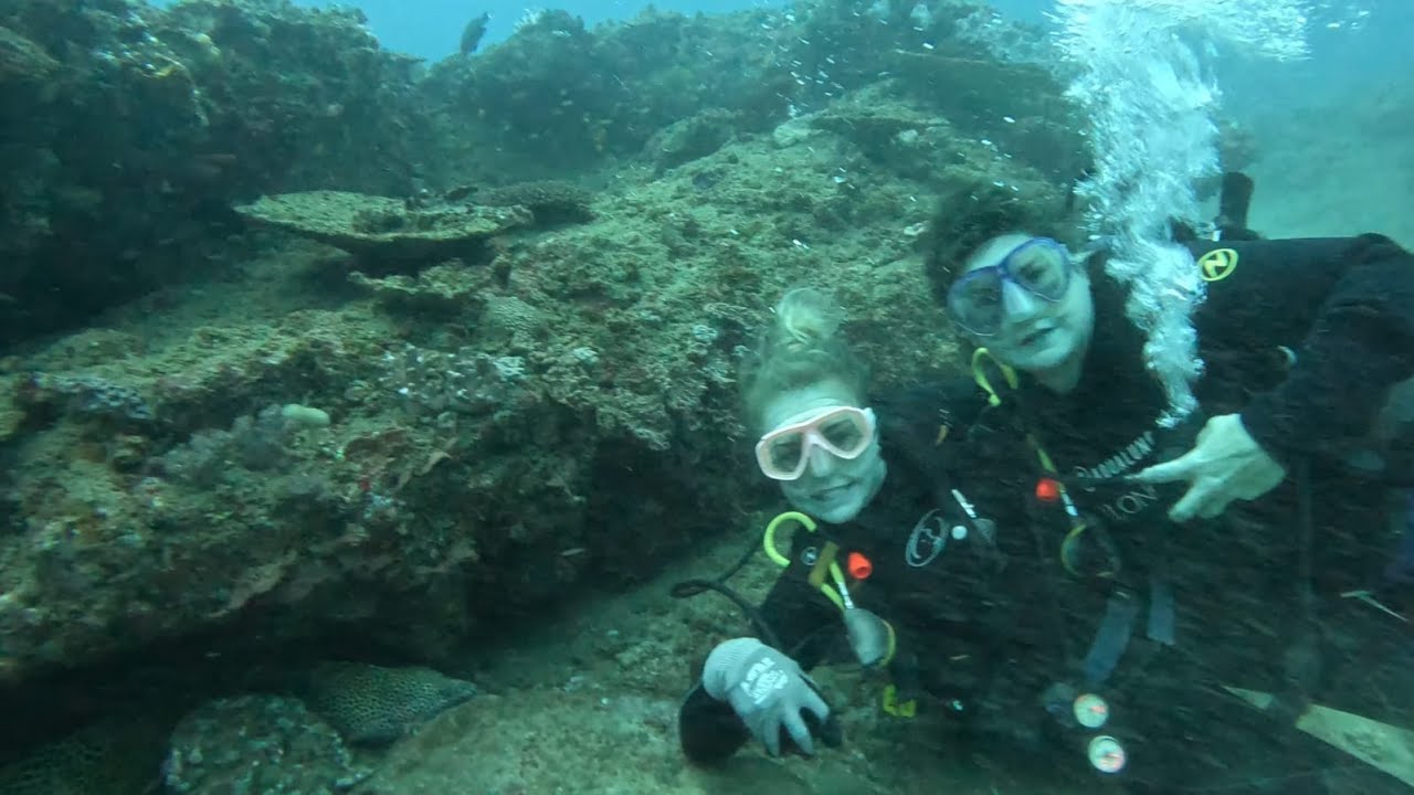 Ponta Malongane Dive -  Reef Close