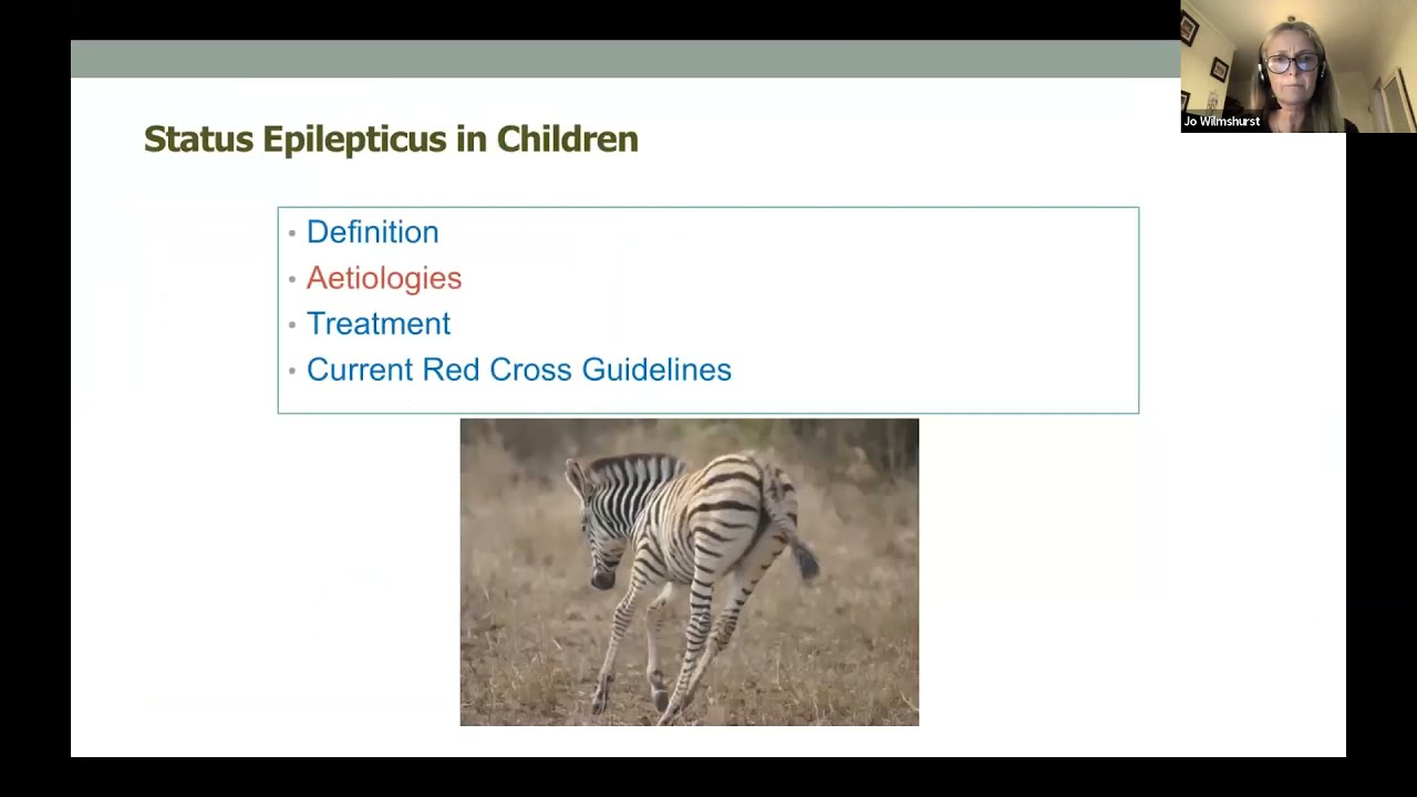 ILAE Africa - Applying the Epilepsy Syndrome Classifications & Updates on New Treatment Guidelines