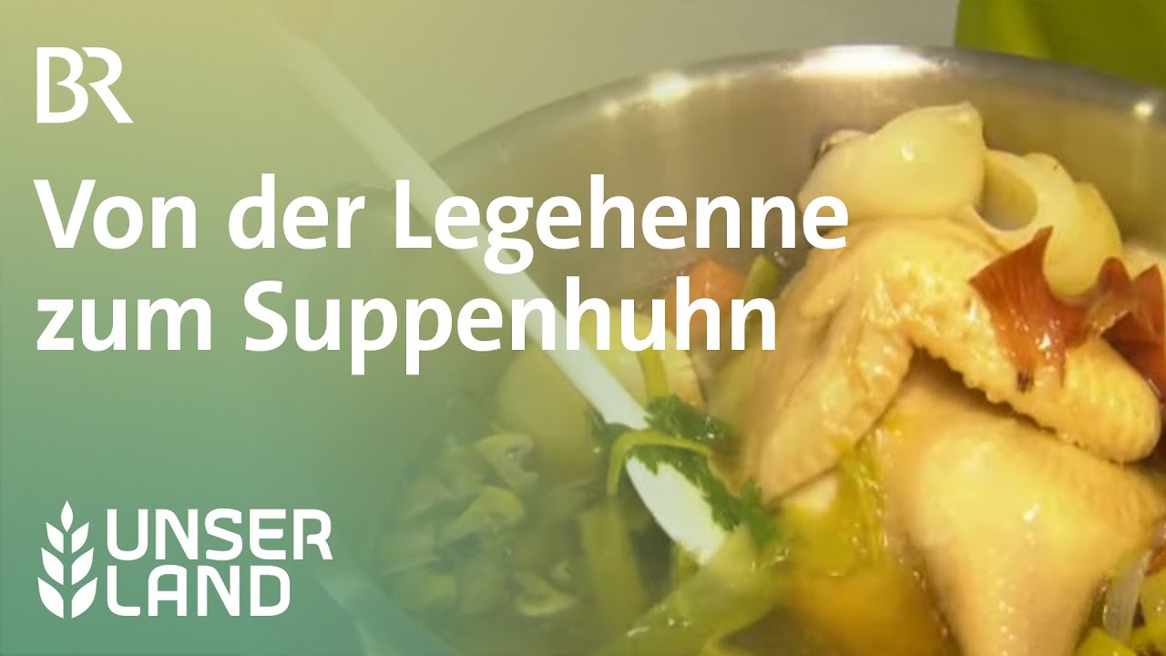 Von der Legehenne zum Suppenhuhn | Unser Land | BR Fernsehen