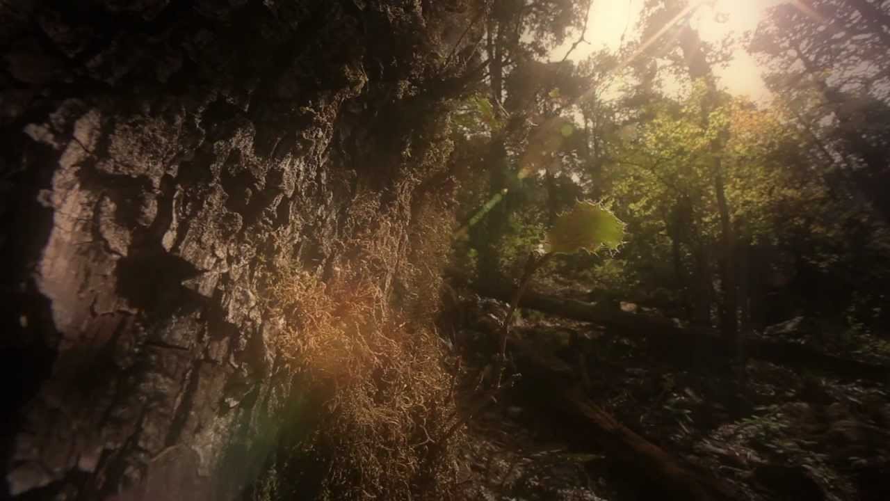 The Great Himalayan National Park