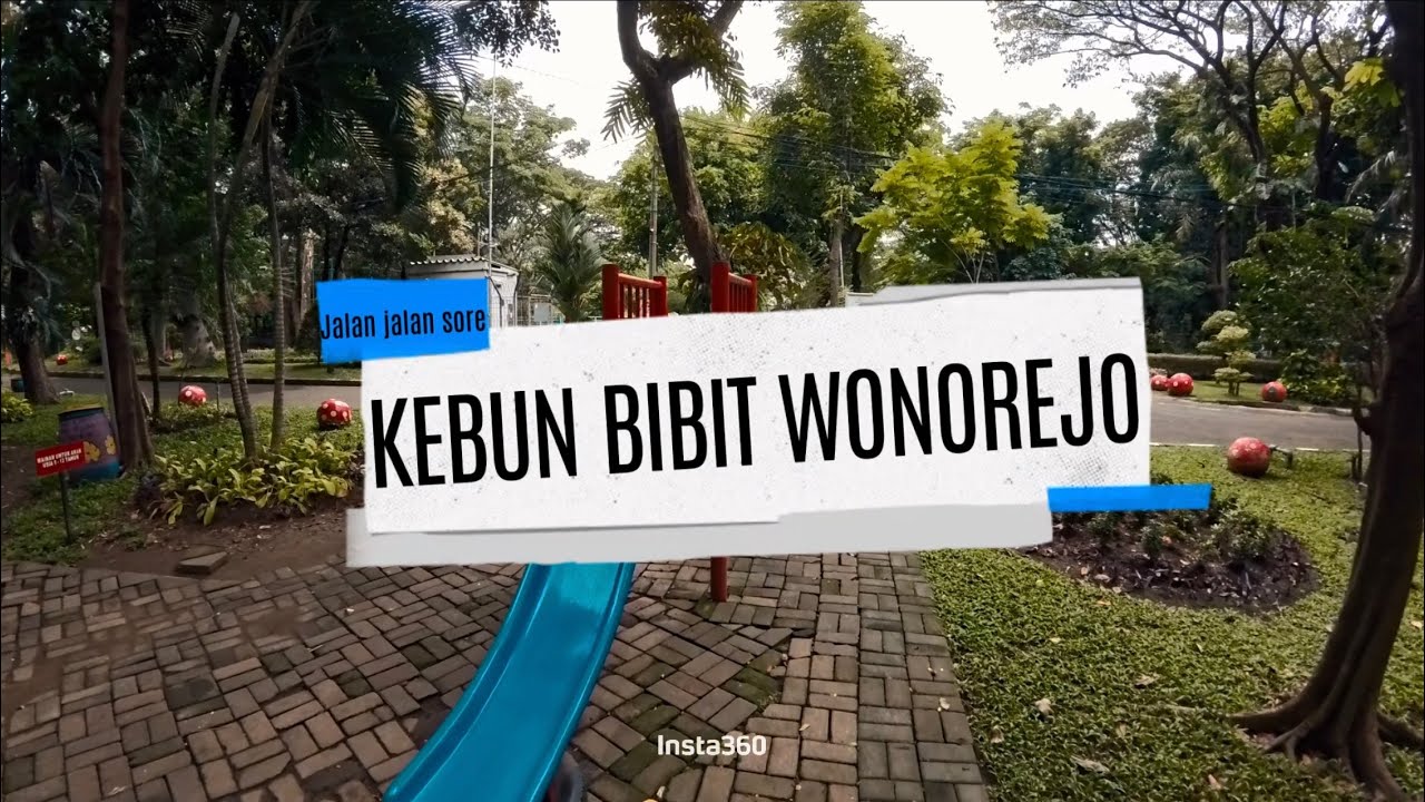 Jalan-jalan Sore di Kebun Bibit Wonorejo Kota Surabaya