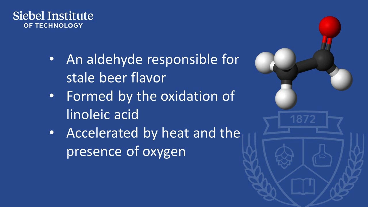 Papery (Trans-2-nonenal) - Beer sensory characteristics, causes and control factors