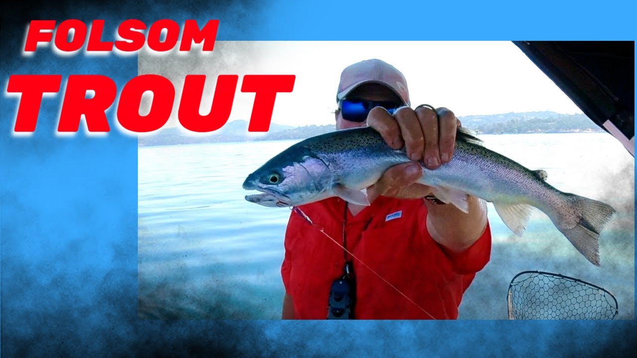 How To Catch Trout & Kings At Folsom Lake