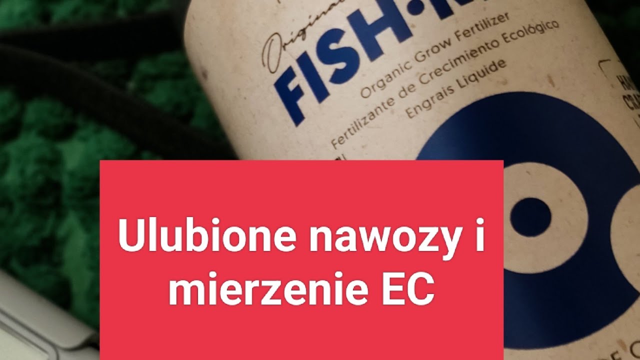 Przesadzam z nawozem oraz sł&oacute;w kilka o ulubionych produktach #naw&oacute;z #biobizz#25