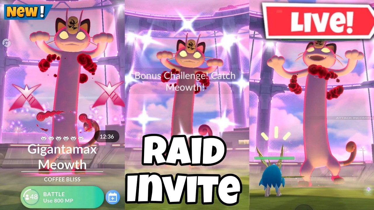 Hunting✨️Shiny Gigantamax Meowth On Raid Day Pokemon Go