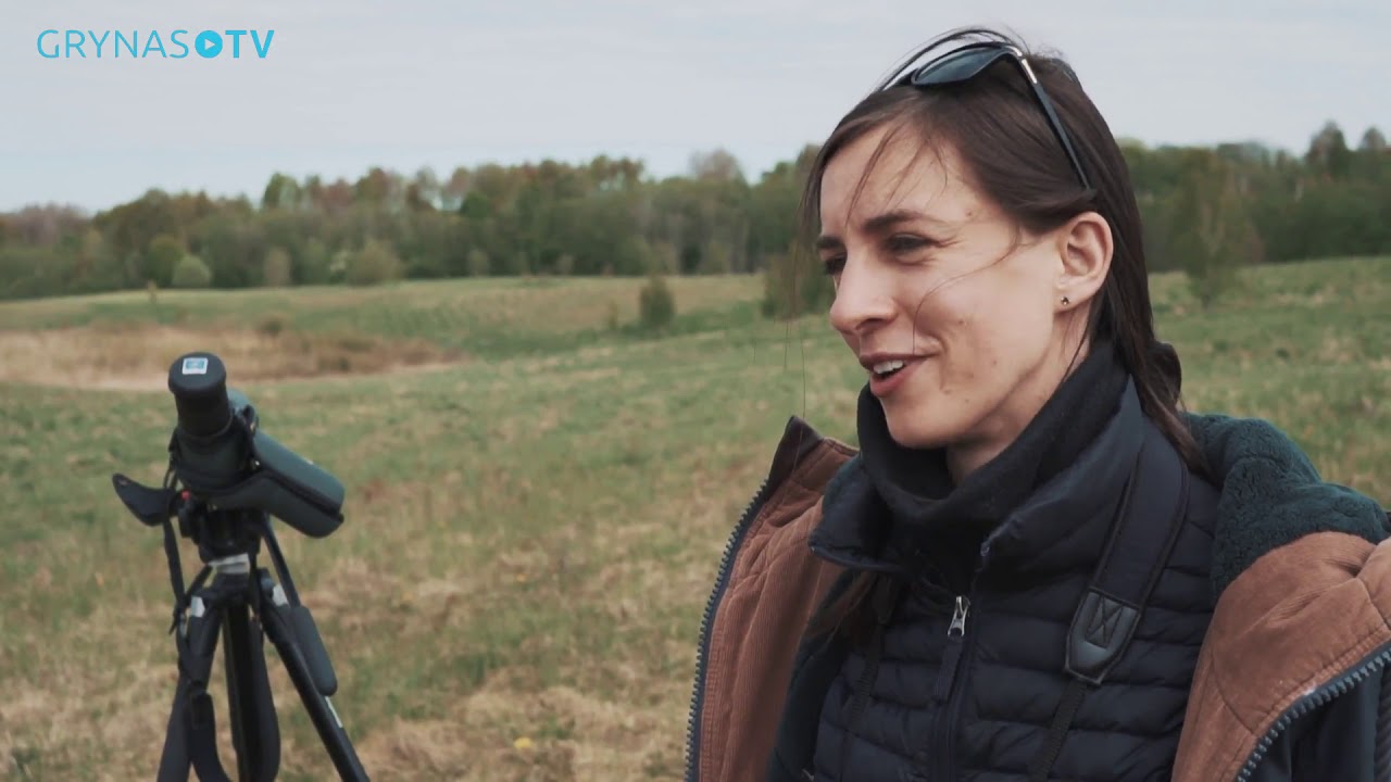 Siųstuvai atskleidė kilmingųjų erelių santykius Lietuvoje. DELFI reportažas 2019.05.10